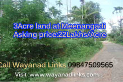 Meenangadi Land Sale