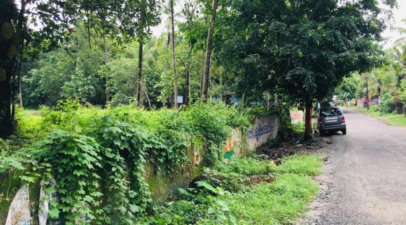 311c2c6f-c259-41b1-8e35-782f9e7d6024 (1)