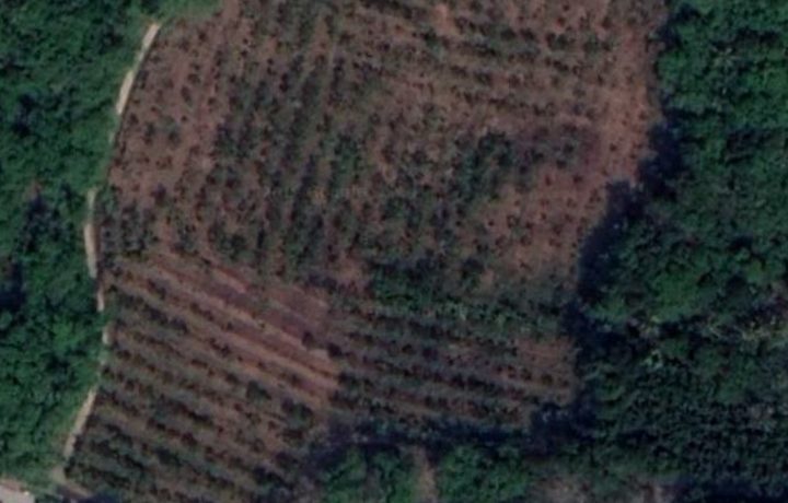 Screenshot_20191016-085522_Maps