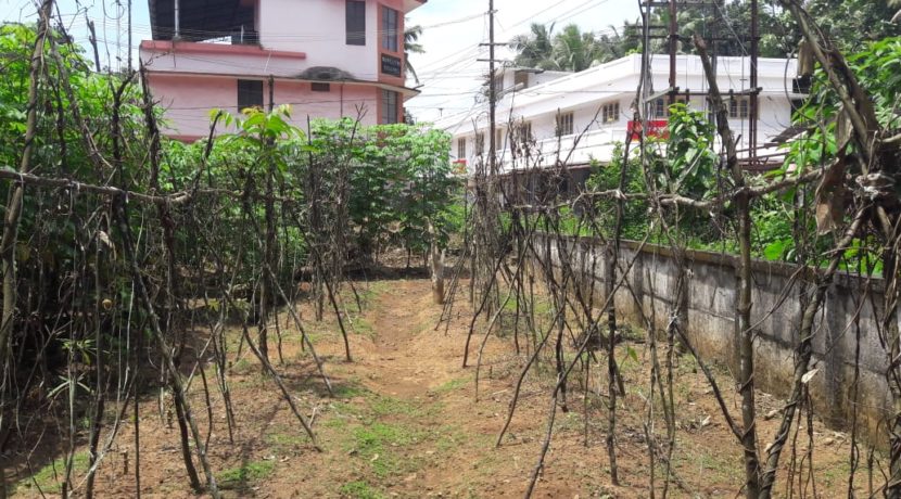 WhatsApp Image 2019-10-03 at 11.58.14 AM