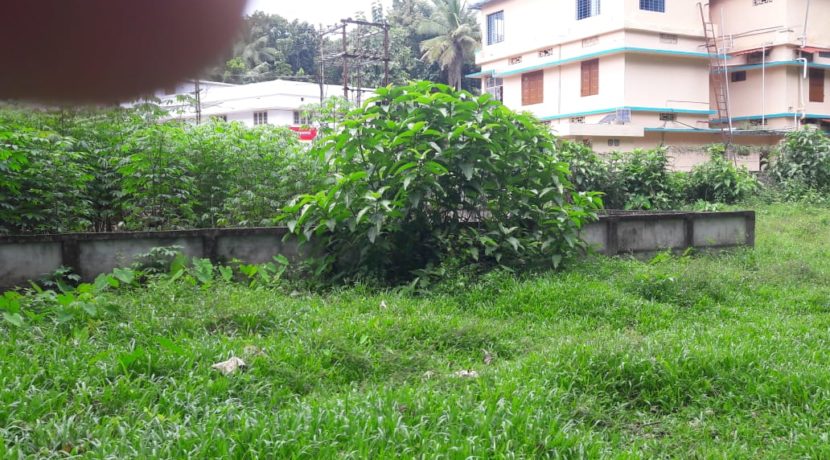 WhatsApp Image 2019-10-03 at 11.58.16 AM