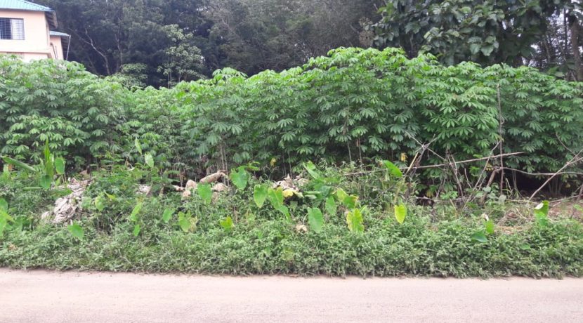 WhatsApp Image 2019-10-03 at 11.58.23 AM