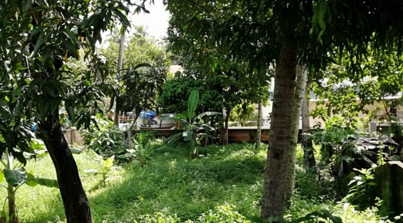 406b3128-8525-428c-aefd-e6c5ead020f0