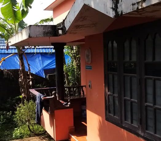 WhatsApp Image 2019-11-18 at 21.42.30 (1)