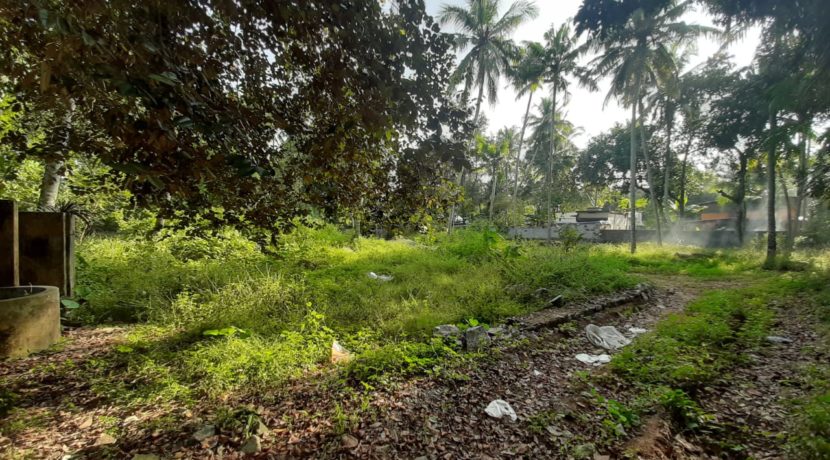 WhatsApp Image 2019-12-15 at 3.25.12 PM