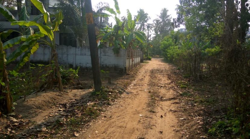 05 way_to_colony_o_w