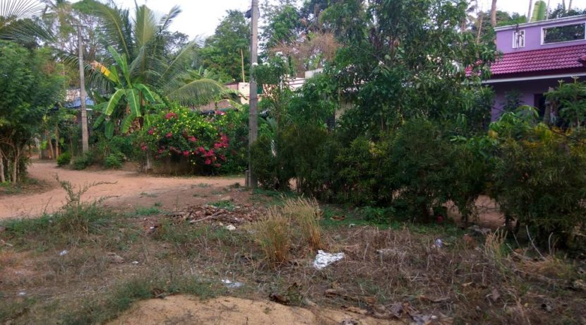 06 enterance_view_of_colony_o_w