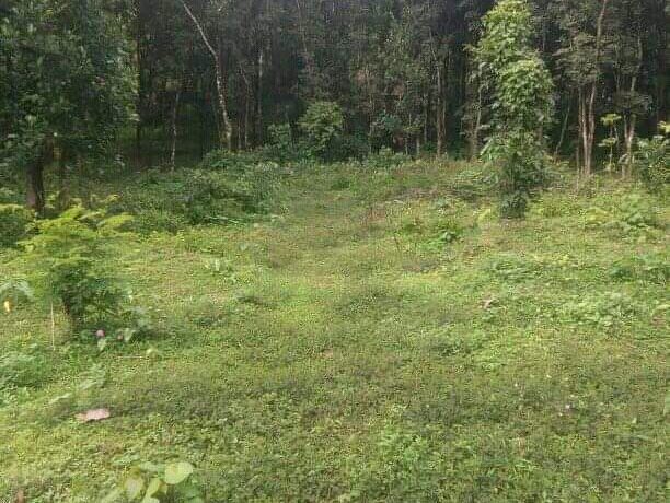 FB_IMG_15783839526758500