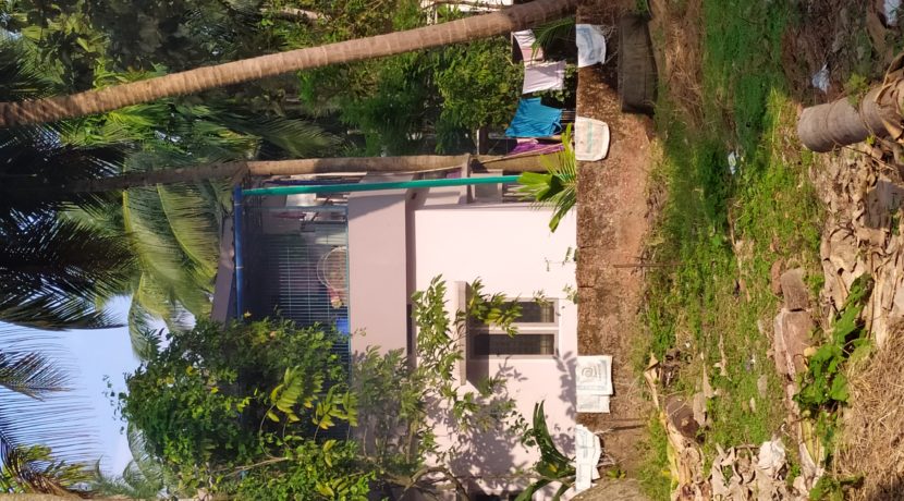 IMG_20191208_160848[1]