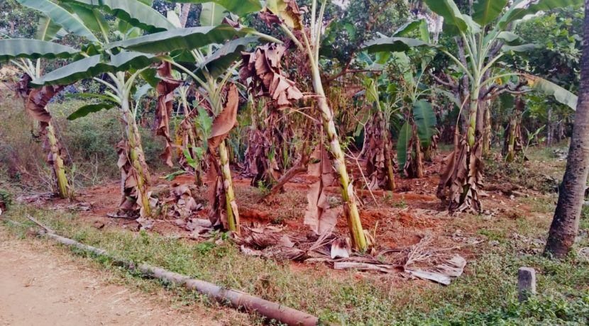 21837D2D-E256-495C-A293-3E4D204EC658