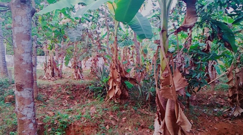 33BFBD20-791F-4D11-8469-07612A8E5F40