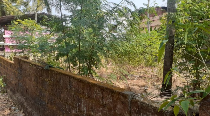 PHOTO-2020-03-03-15-57-21