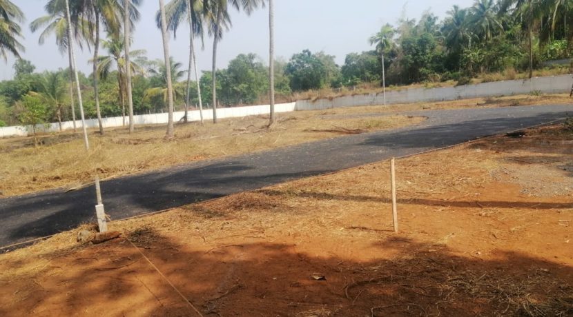 PHOTO-2020-03-08-14-45-24 (1)