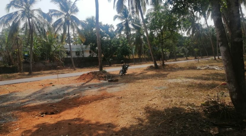 PHOTO-2020-03-08-14-45-24