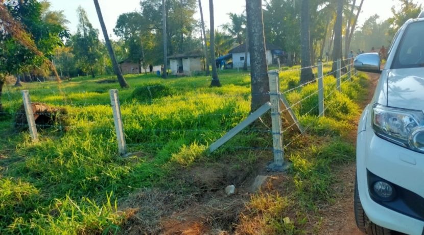 IMG_20200619_225542[1]