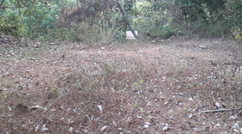 PHOTO-2020-02-17-16-15-45