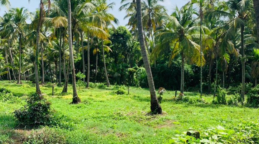 WhatsApp Image 2020-05-30 at 8.55.13 PM