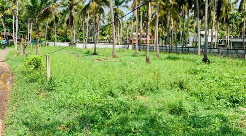 WhatsApp Image 2020-05-30 at 8.55.16 PM