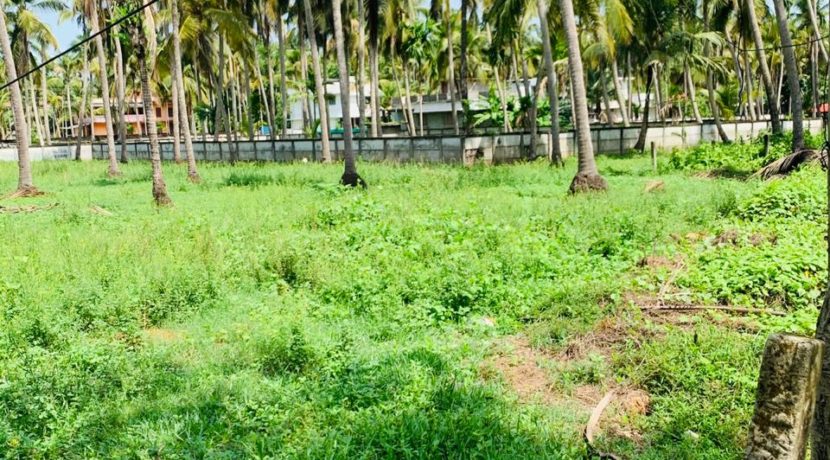 WhatsApp Image 2020-05-30 at 8.55.17 PM