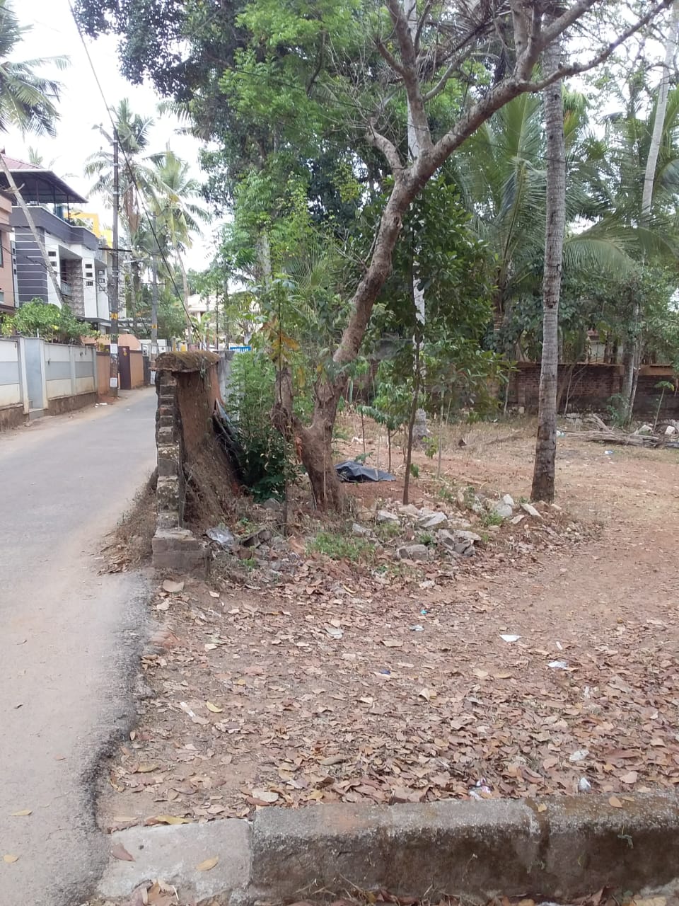 RESIDENTIAL LAND NEAR VATTIYOORKAVU CENTRAL PLOYTECHNIC COLLEGE