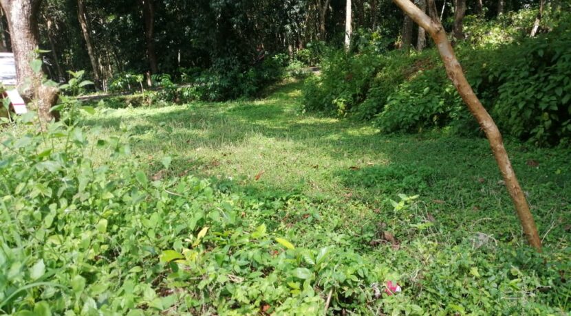 WhatsApp Image 2020-08-01 at 12.05.42 AM