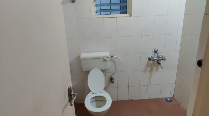 WhatsApp Image 2020-07-23 at 18.25.11 (1)