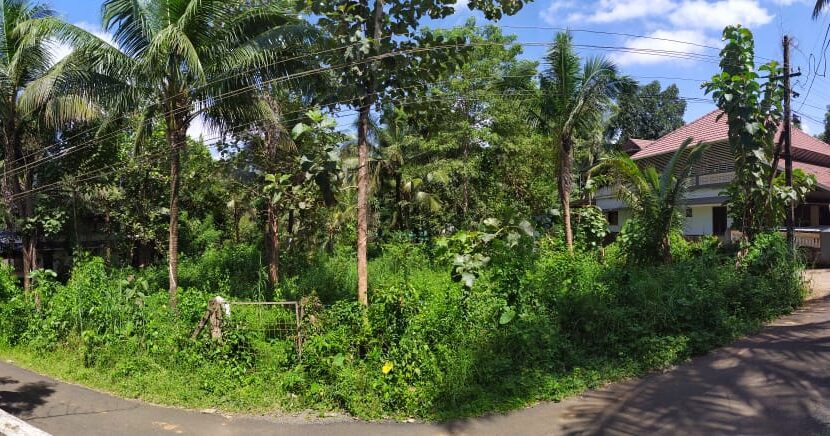 WhatsApp Image 2020-09-27 at 2.59.16 PM