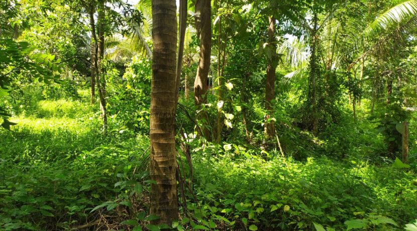 WhatsApp Image 2020-09-27 at 2.59.20 PM