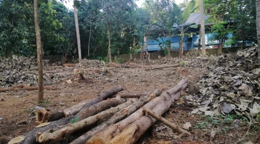 WhatsApp Image 2020-09-28 at 17.08.16