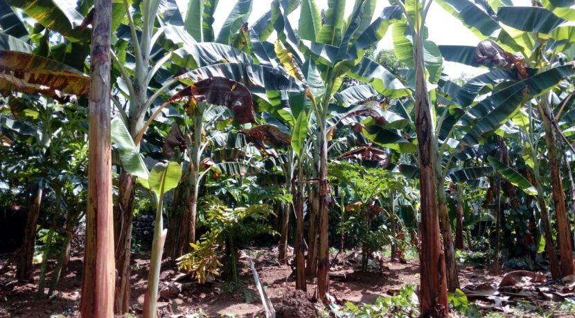 WhatsApp Image 2020-09-29 at 12.54.17 (1)