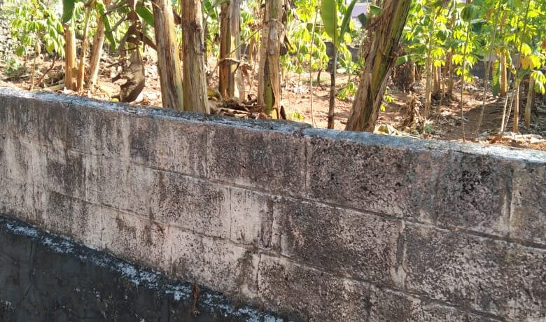 WhatsApp Image 2020-09-29 at 12.54.17 (2)