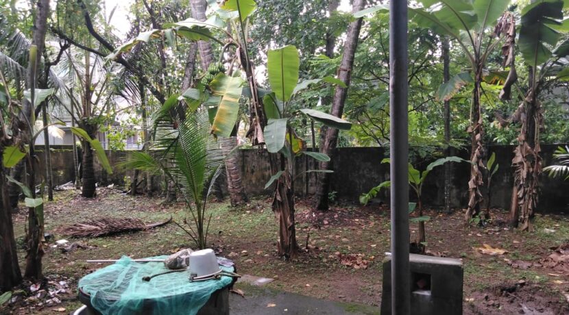 b2d05e02-436c-495e-9846-b366c2fa3ba5