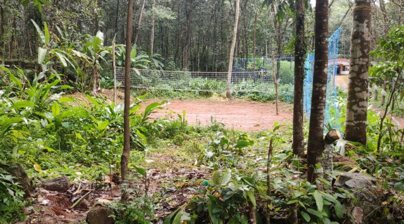 WhatsApp Image 2020-10-15 at 5.24.36 PM