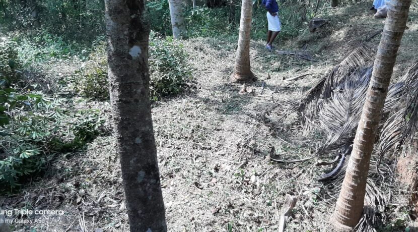 06ee6b30-97b0-46bd-858c-a0f8f1ff8c5e (1)