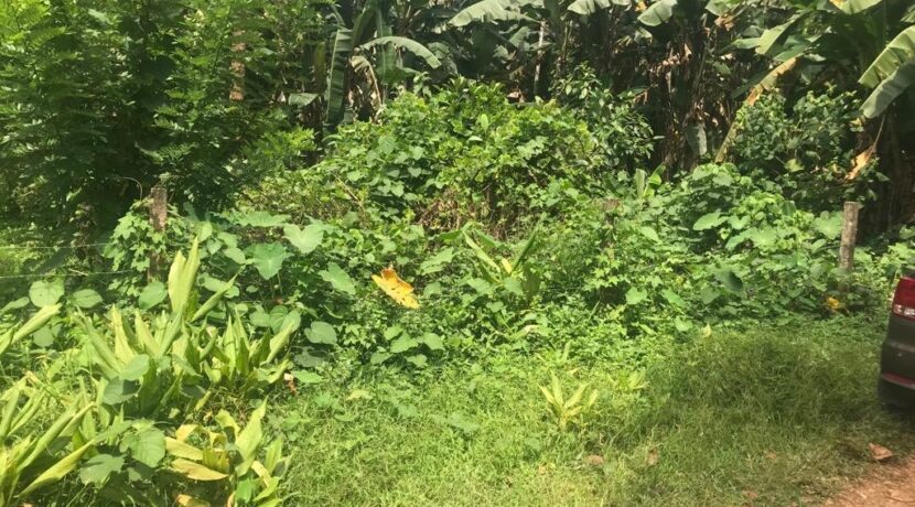 land near bharanaganam2