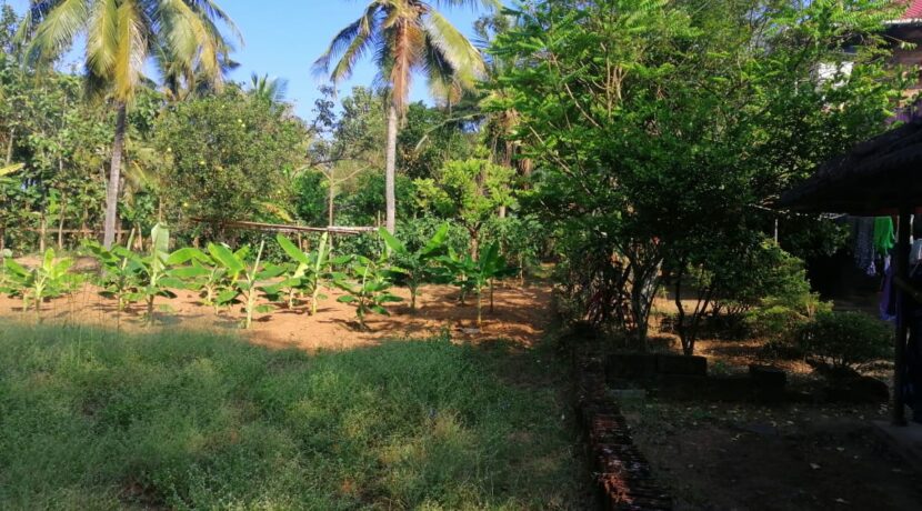varadiyam 2