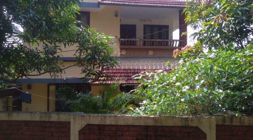 WhatsApp Image 2020-11-10 at 9.46.18 PM (1)