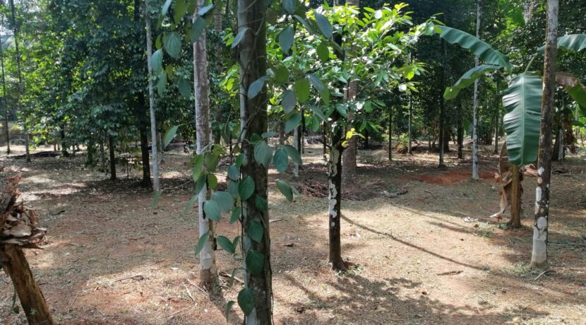 aa812be7-9a76-4f24-be40-976a2355c43f