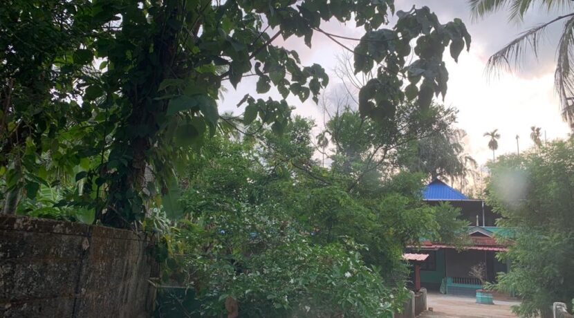 e255e5b7-655b-4f94-879d-96646dfbeb89