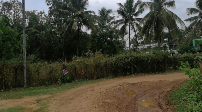 99b8cbc0-7825-450c-a554-cdbe17c634e5