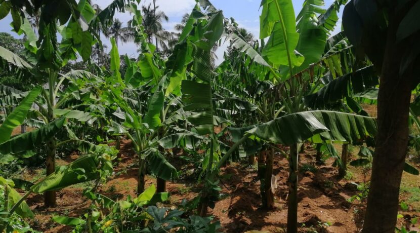 219658ad-736e-4b86-bba8-d941ea37d940