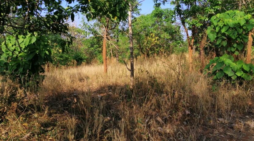 72e1cb73-149c-4489-9743-3df54b35a944