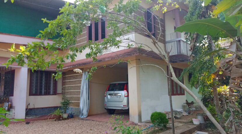 WhatsApp Image 2021-02-19 at 5.12.25 PM