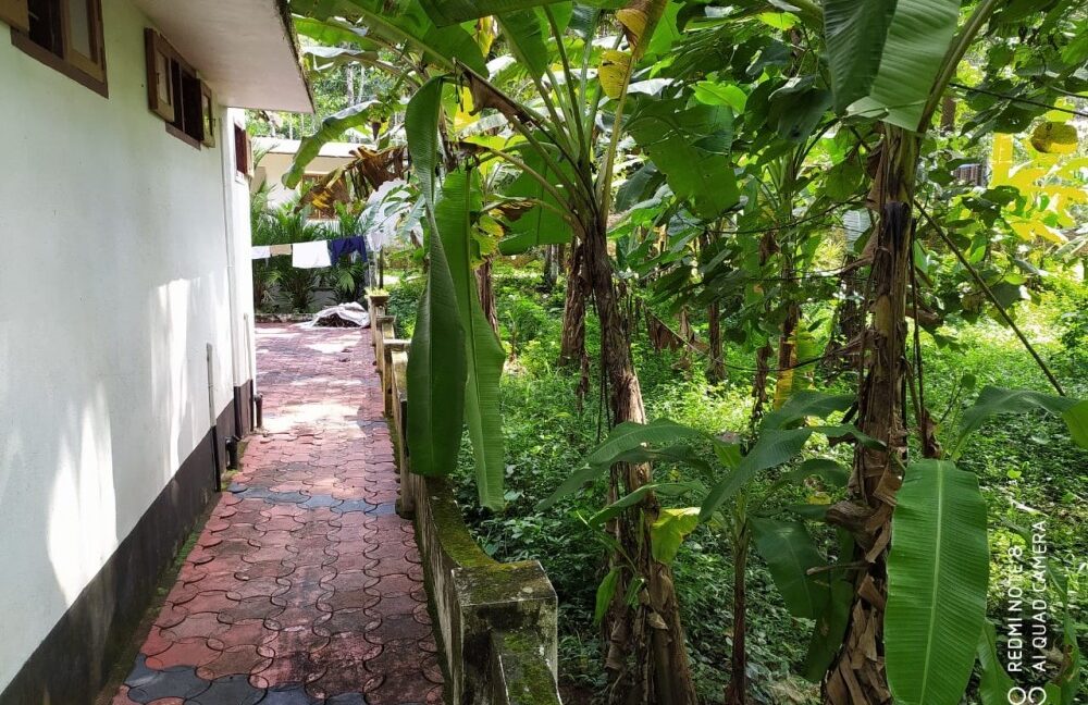 4ce2a49f-d1f1-4fec-807d-fb5c074efd85