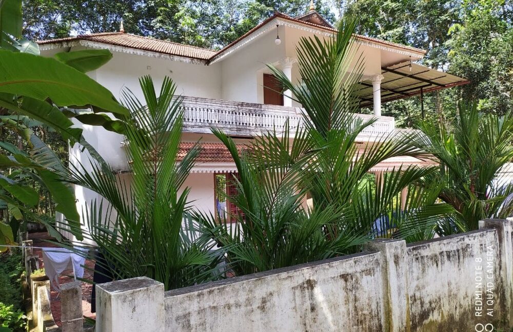 d1ec1825-6d2b-4a56-8b2d-accfb3009393