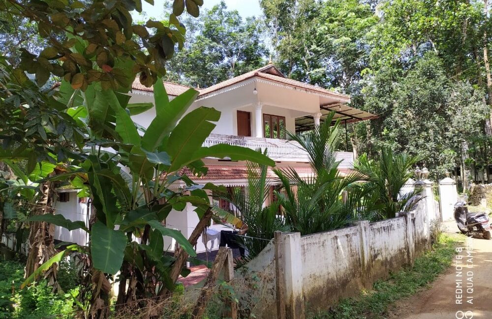 fab39471-54b9-4c3e-aa4e-cb4179248d82