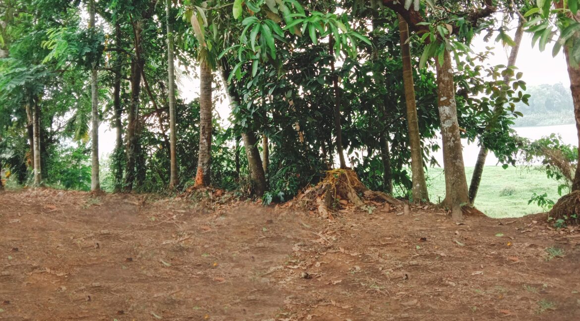 PicsArt_03-29-07.46.06-01