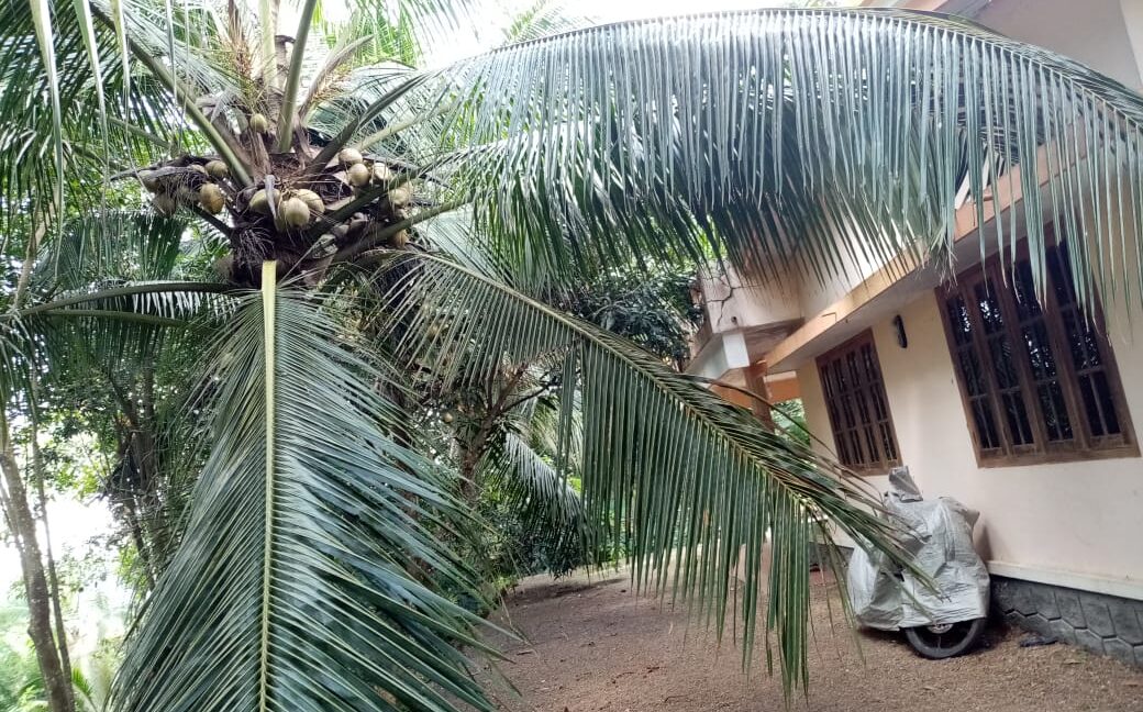 PHOTO-2019-11-03-12-00-38