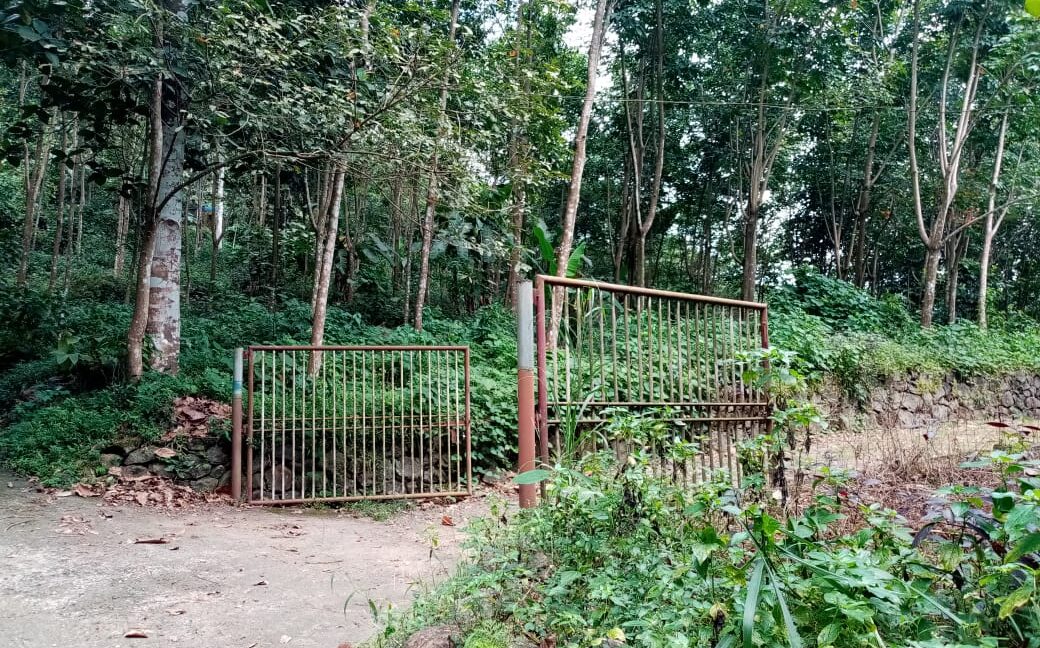 PHOTO-2019-11-03-12-00-44