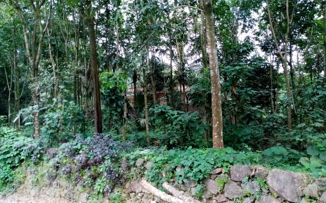 PHOTO-2019-11-03-12-00-49